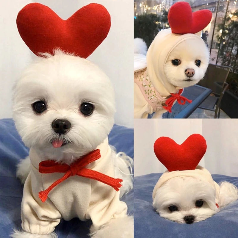 Cozy Fleece for Dogs & Cats"