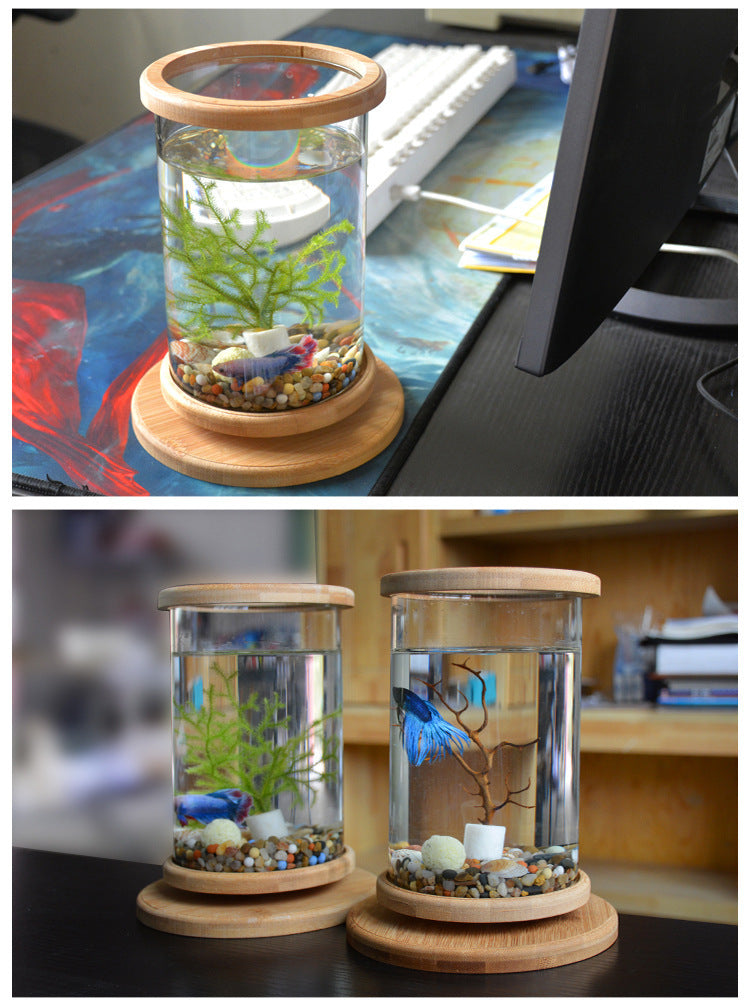 Glass Aquarium