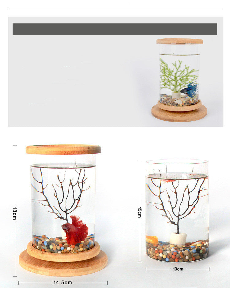 Glass Aquarium