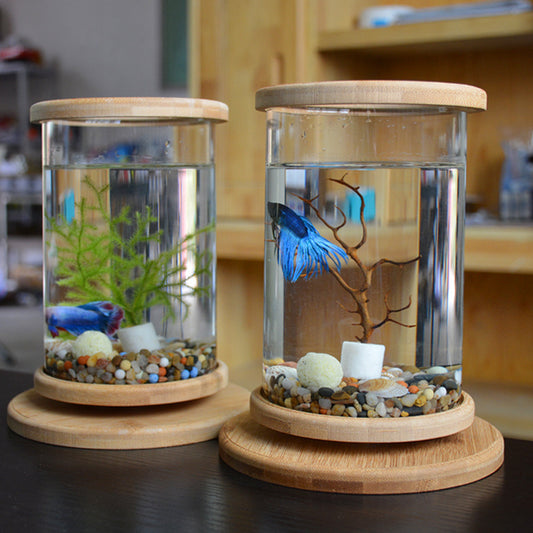 Glass Aquarium